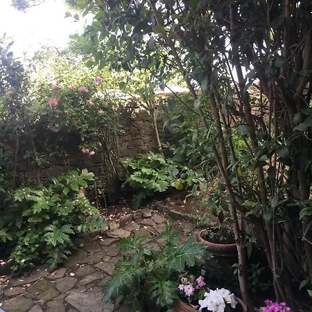 La Casina Nel Vicolo *